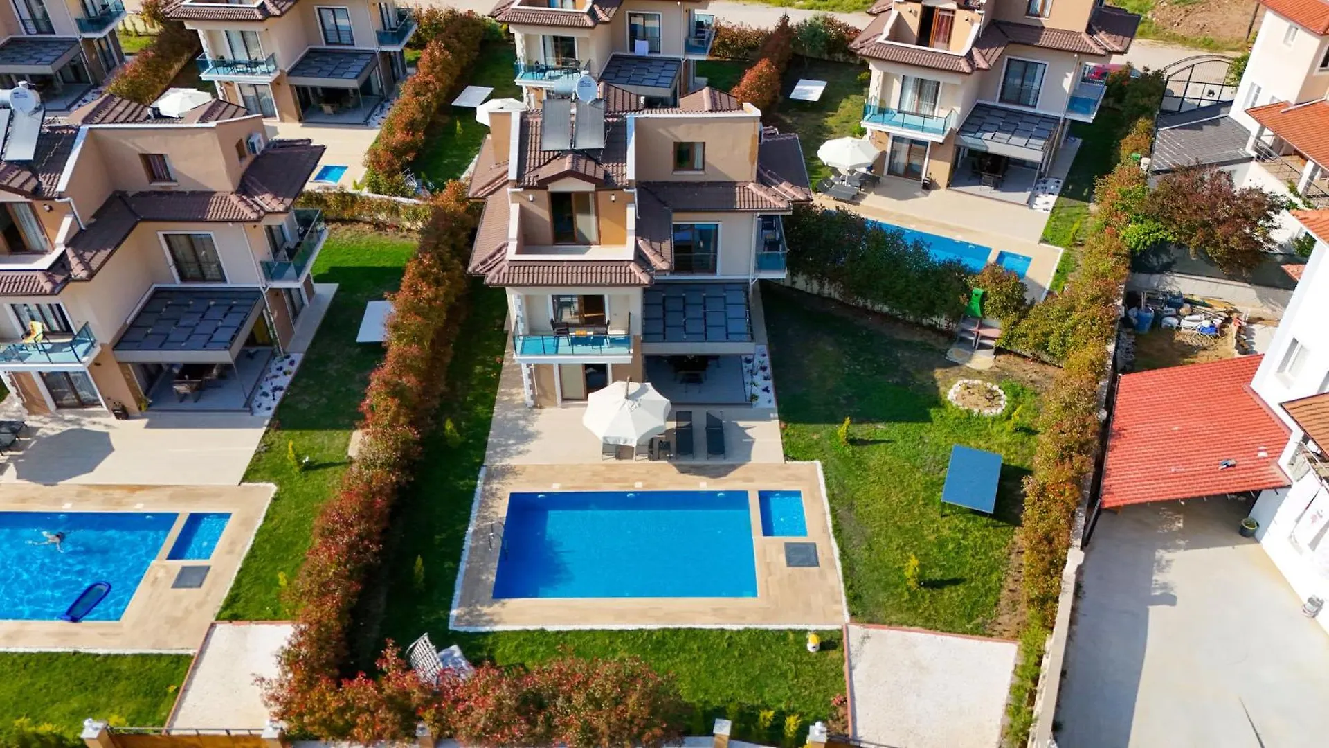 Lavanta Fethiye
